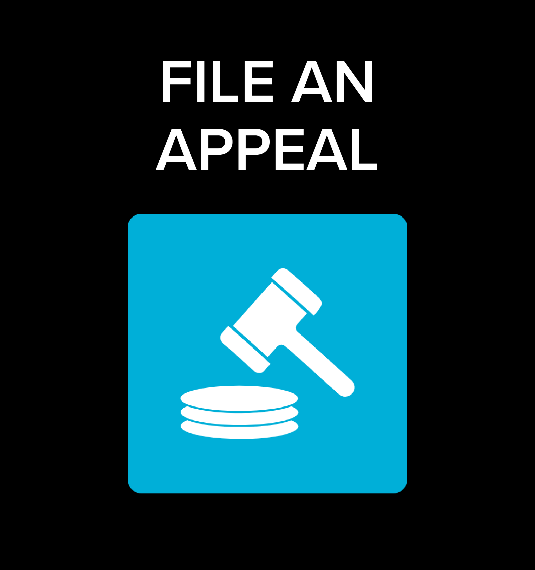 File an Appeal